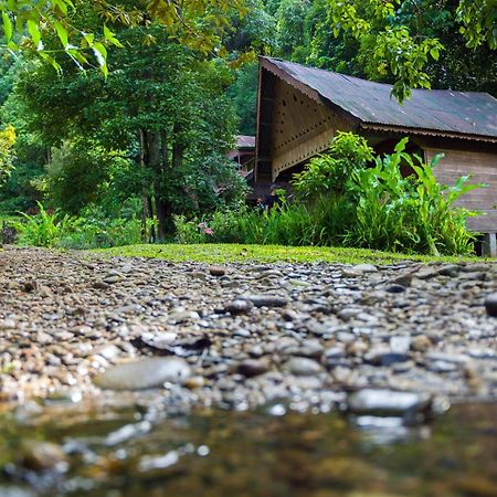 Pak Mus Guest House Ketambe - 0813-7072-1793 Kutacane Екстериор снимка