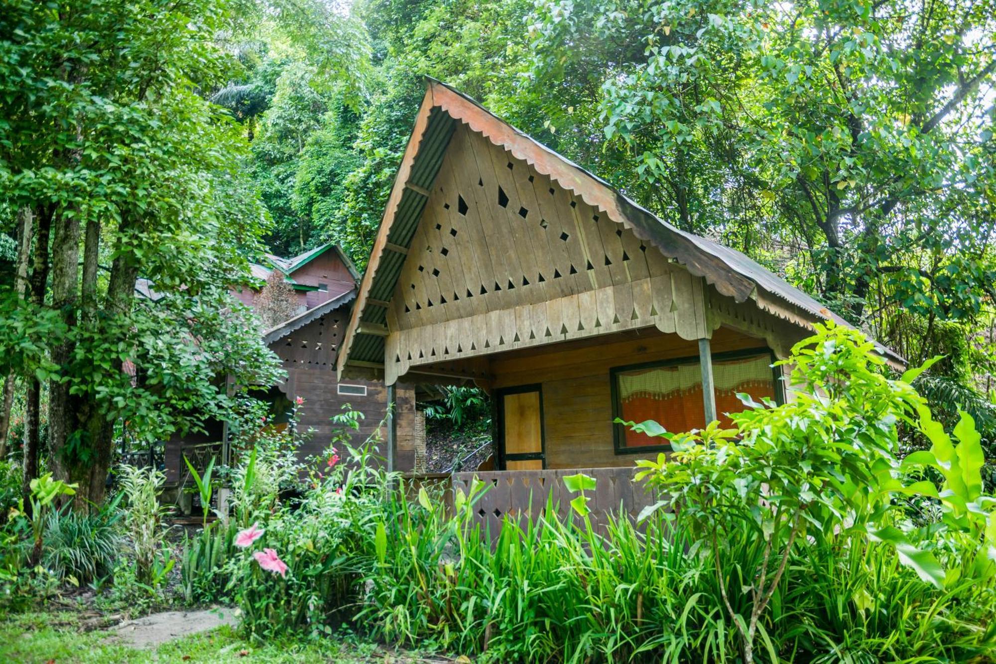 Pak Mus Guest House Ketambe - 0813-7072-1793 Kutacane Екстериор снимка
