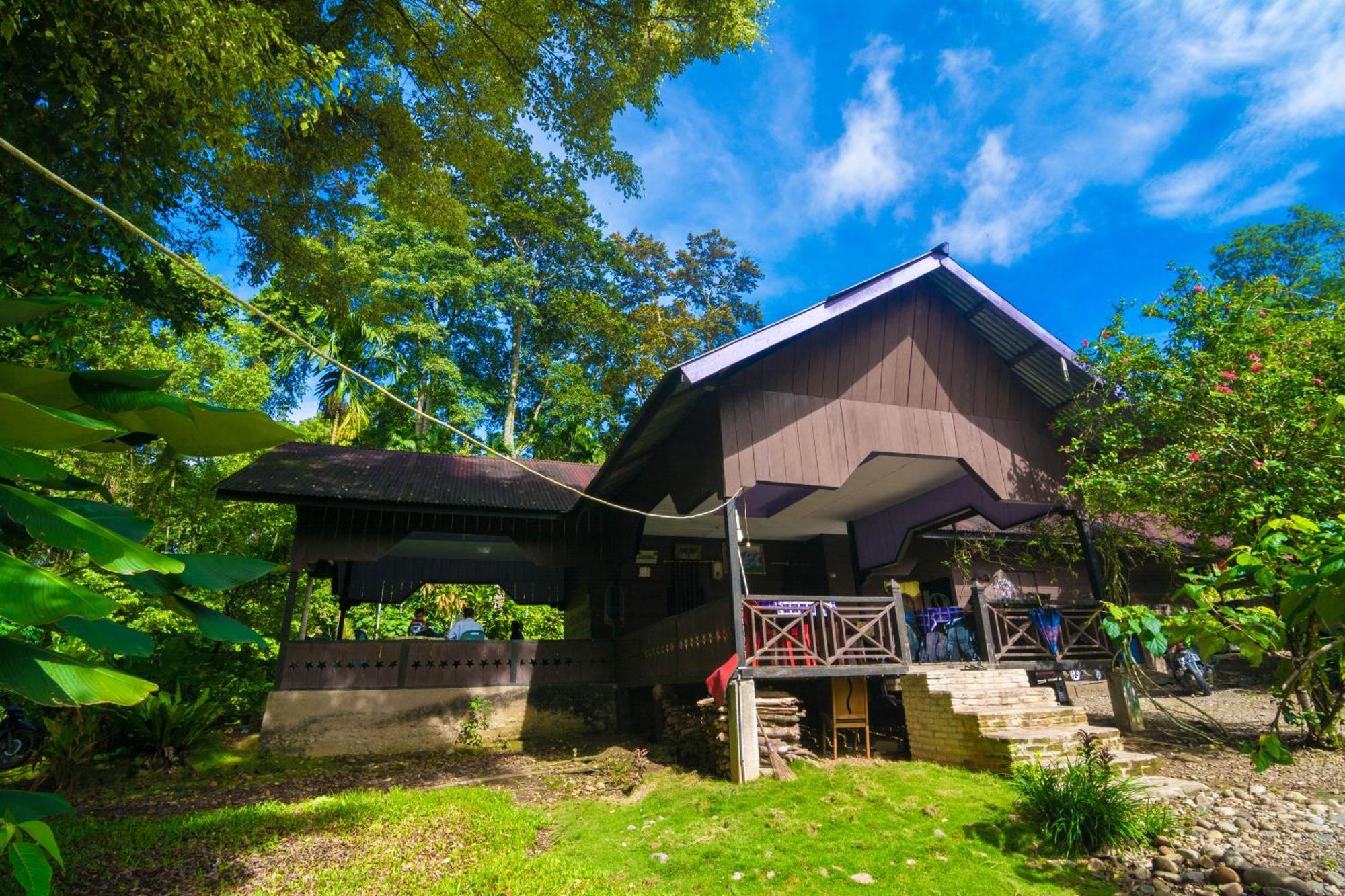 Pak Mus Guest House Ketambe - 0813-7072-1793 Kutacane Екстериор снимка