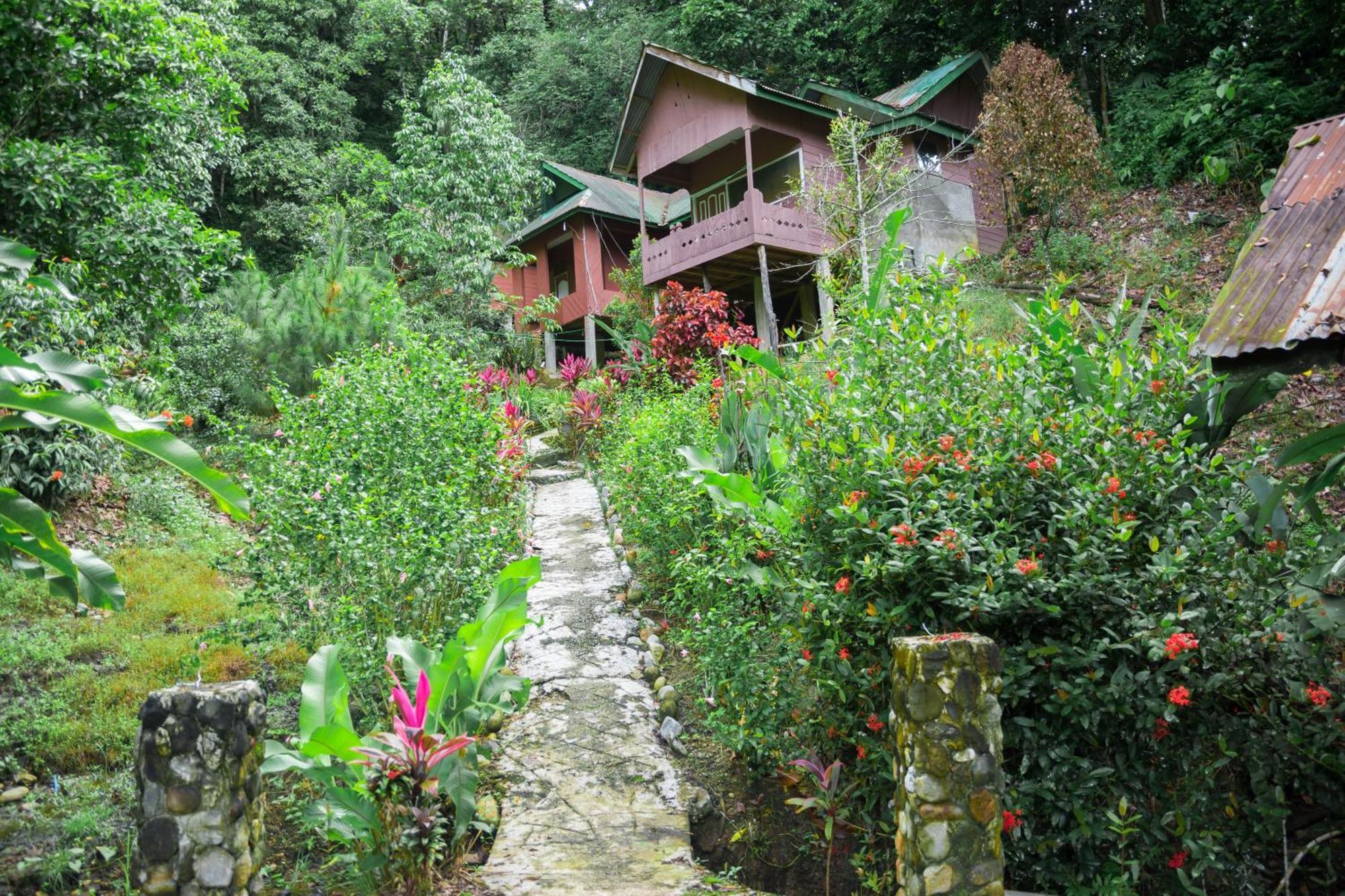 Pak Mus Guest House Ketambe - 0813-7072-1793 Kutacane Екстериор снимка