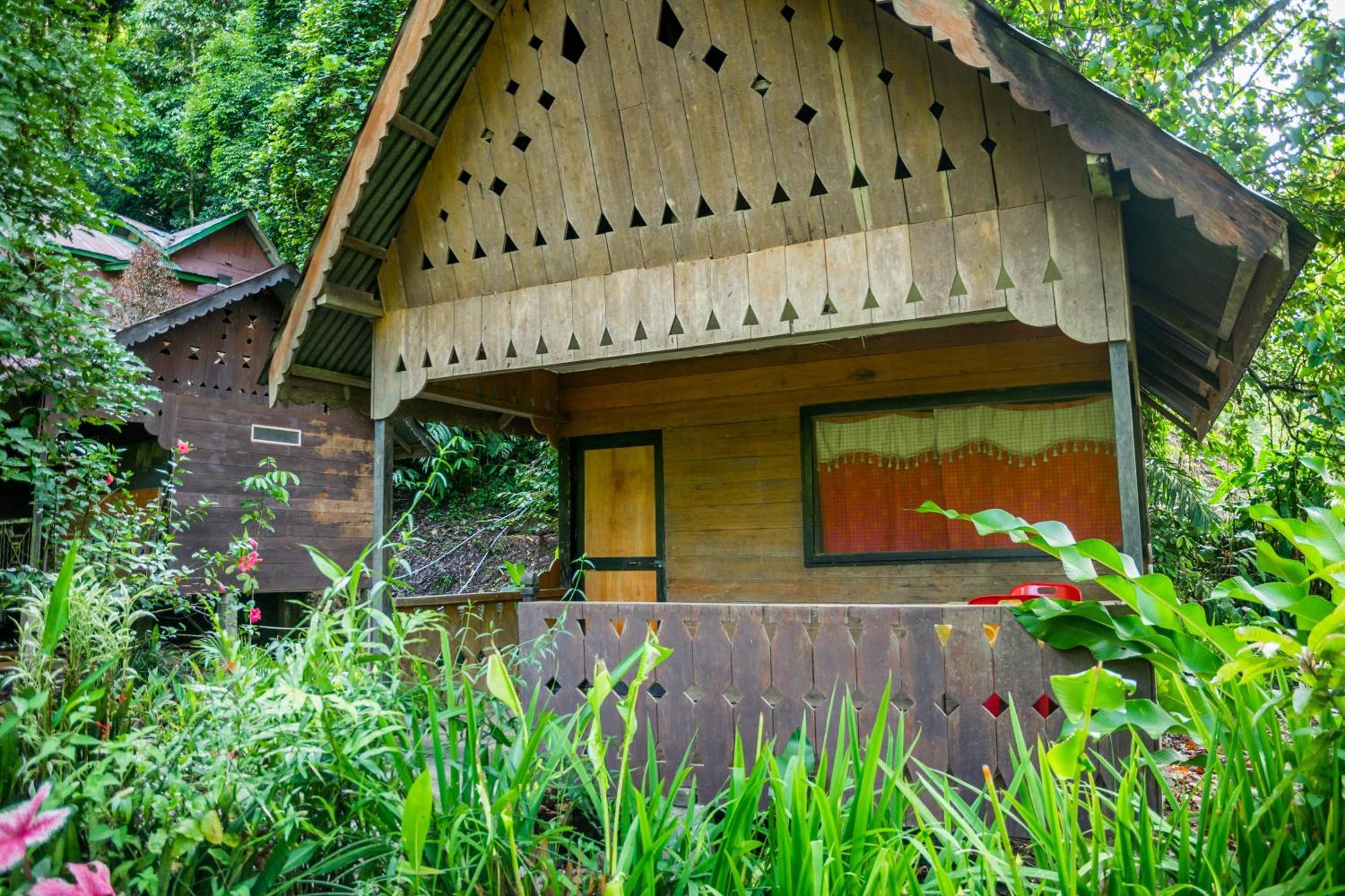 Pak Mus Guest House Ketambe - 0813-7072-1793 Kutacane Екстериор снимка