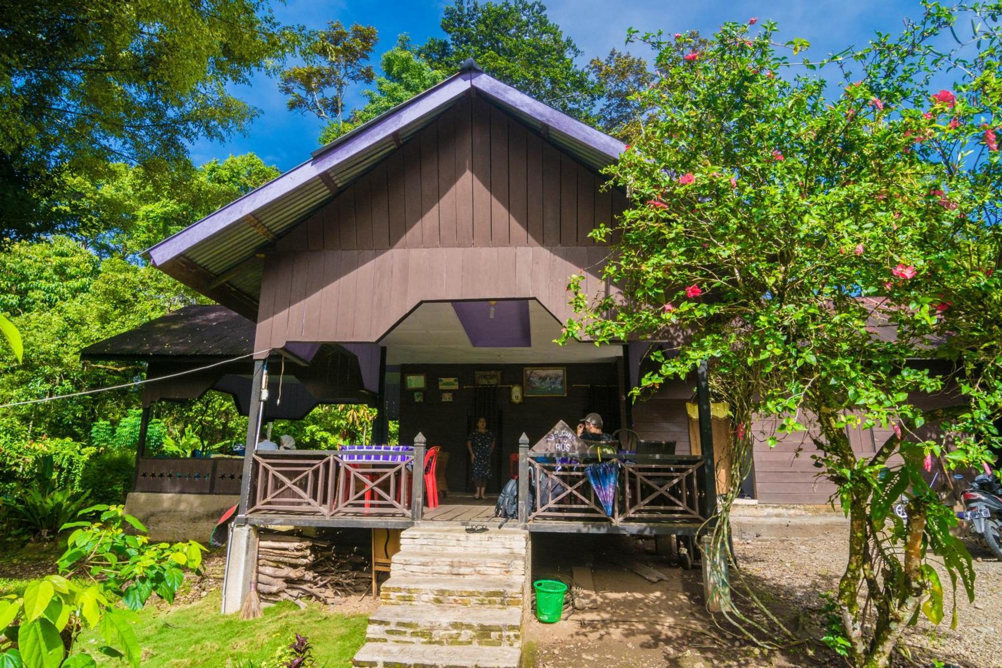 Pak Mus Guest House Ketambe - 0813-7072-1793 Kutacane Екстериор снимка