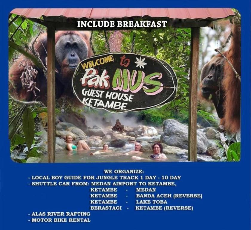 Pak Mus Guest House Ketambe - 0813-7072-1793 Kutacane Екстериор снимка